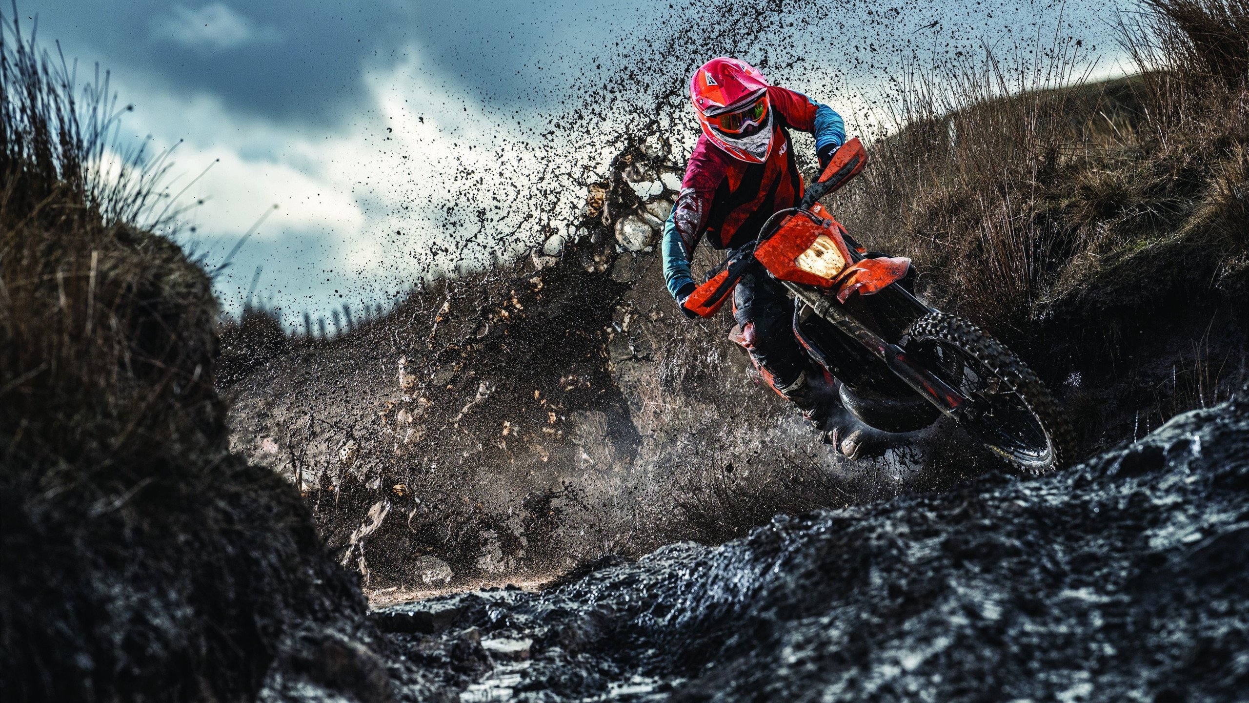 kaiyun体育-全国青少年“绿色运动”公益行在昆明持续推进，倡导低碳理念，青少年绿色发展实践教育基地